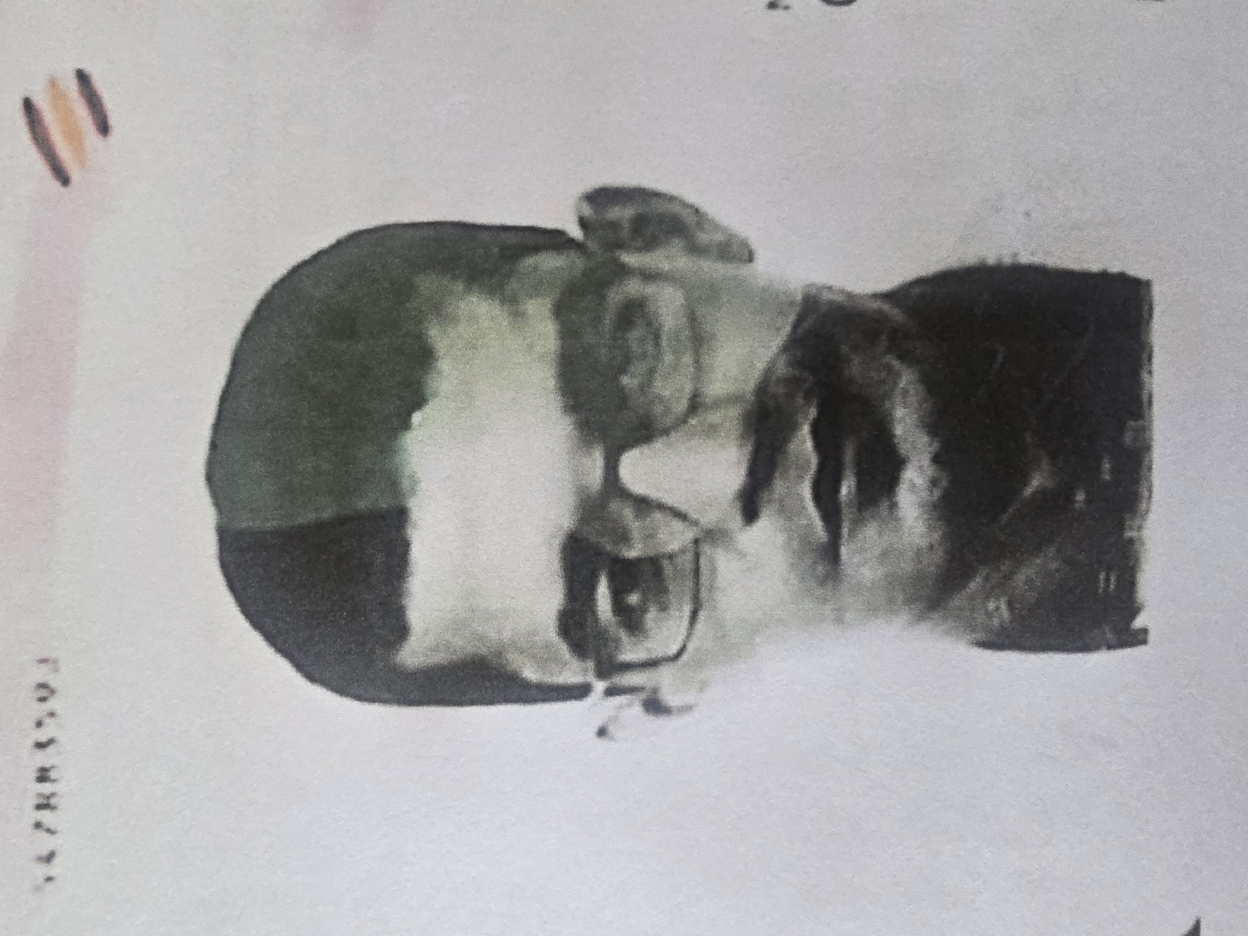 Photo salarié